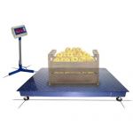 картинка Весы МП 600 ВЕДА Ф-1 "Циклоп 07"