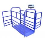 картинка Весы МП 600 ВЕДА Ф-1 (100/200; 1400х700) "Живой вес У 12"