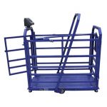 картинка Весы МП 300 ВЕДА Ф-1 (50/100; 1400х700) "Живой вес"12 М