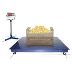 картинка Весы МП 2000 ВЕДА Ф-1 "Циклоп 12С"