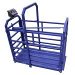 картинка Весы МП 600 ВЕДА Ф-1 (100/200; 1400х700) "Живой вес"12 П